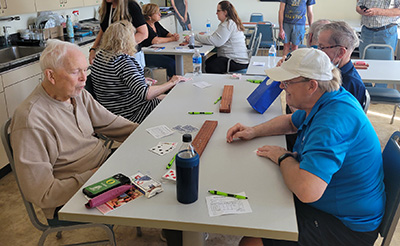 Two men playing cribbage.